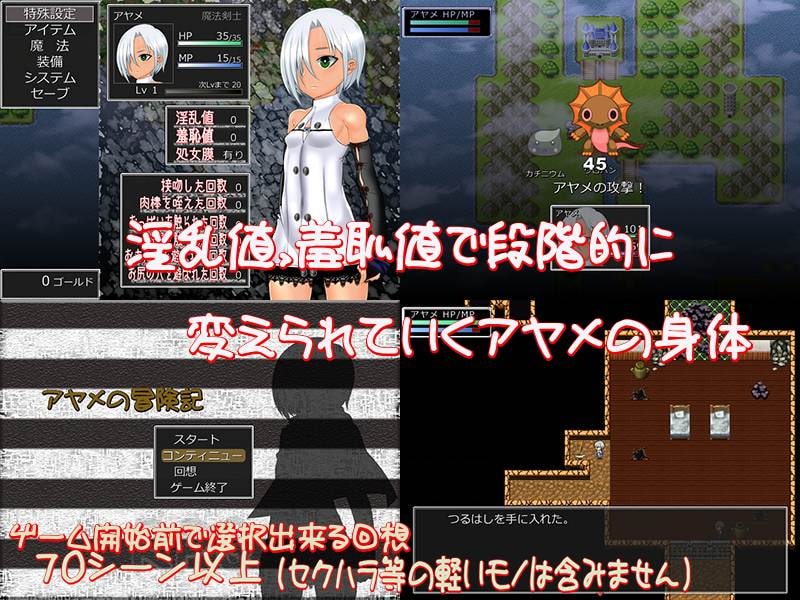 Ayame no boken-ki ~ shisho no hono motomete ~ (Hige to deko) screenshot 1