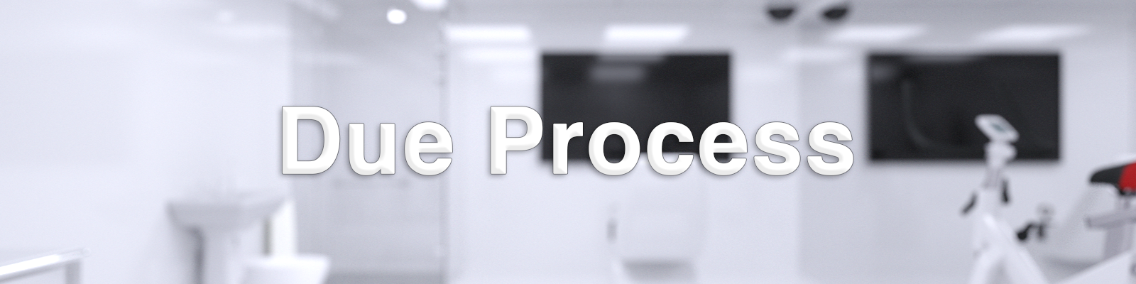 Due Process poster