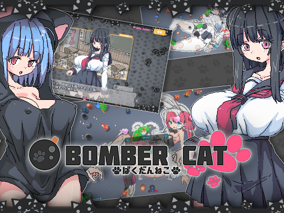 Bomber Cat [COMPLETED]