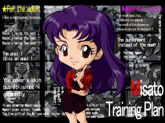 Misato Training Plan [COMPLETED]