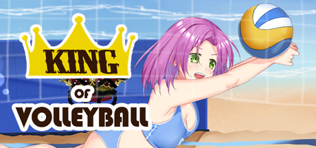 King_of_Volleyball poster