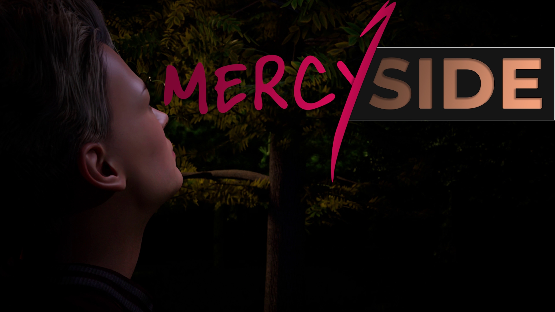 MercySide poster