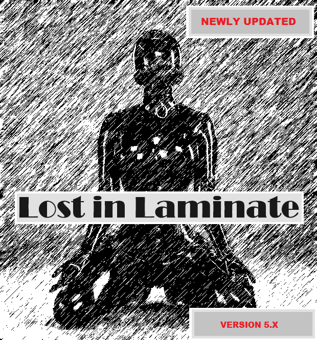 Lost in Laminate poster